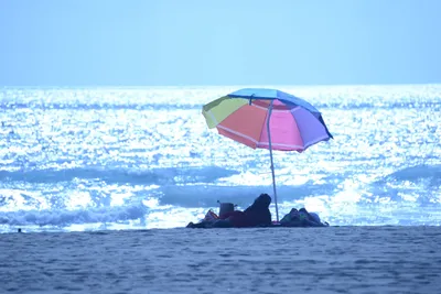 DSC_5011 (Large).JPG